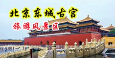 明星淫水中国北京-东城古宫旅游风景区
